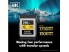 Lexar 256GB Professional CFexpress Type B Card GOLD Series LEXAR LCXEXPR256G-RNENG Lexar 256GB Professional CFexpress Type B Card GOLD Series LEXAR LCXEXPR256G-RNENG